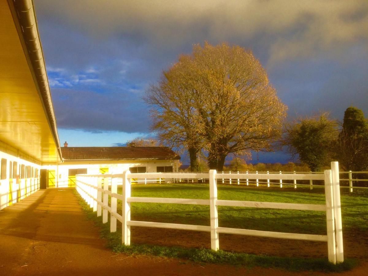 Ferienwohnung Le Haras Du Favry Palinges Exterior foto
